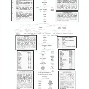 Biblical Genealogy Chart Sepia Antiguo Paper Tabla-0
